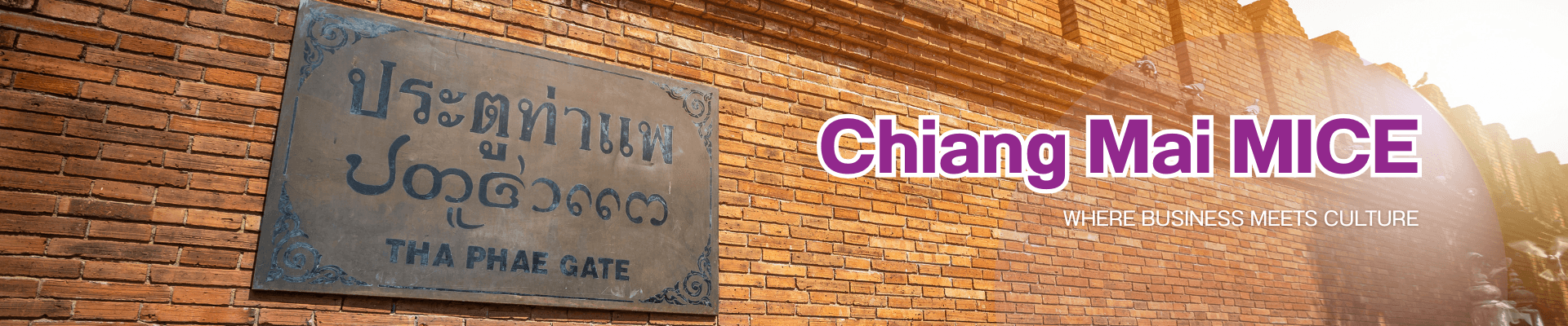 MICE Banner